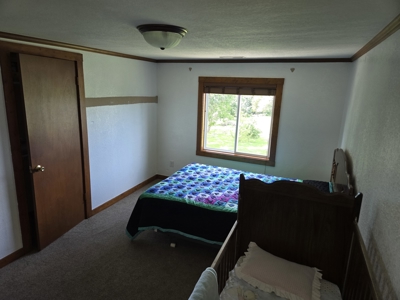 Rural Lucas County Acreage For Sale - image 27