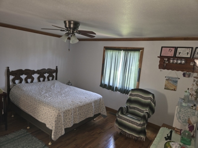 Rural Lucas County Acreage For Sale - image 15