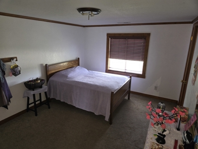 Rural Lucas County Acreage For Sale - image 28