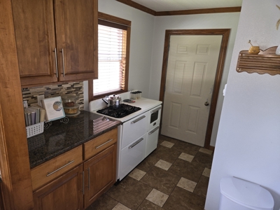 Rural Lucas County Acreage For Sale - image 10