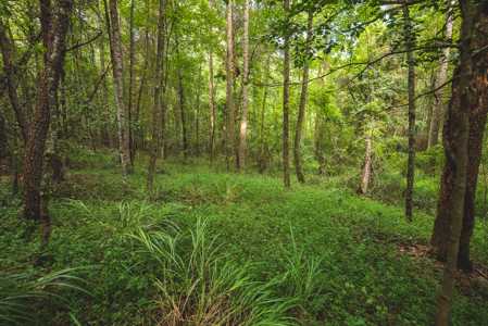 Land for Sale in the City of Elkin NC - image 17