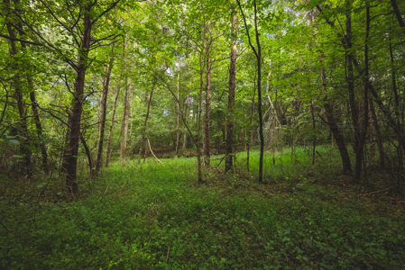Land for Sale in the City of Elkin NC - image 10