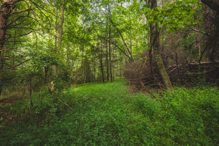 Land for Sale in the City of Elkin NC - image 18