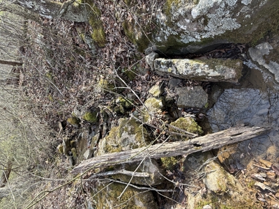 Acreage for Sale in Searcy County, Ar - image 23