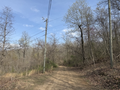 Acreage for Sale in Searcy County, Ar - image 9