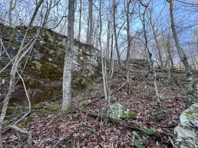 Acreage for Sale in Searcy County, Ar - image 26