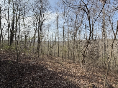 Acreage for Sale in Searcy County, Ar - image 10