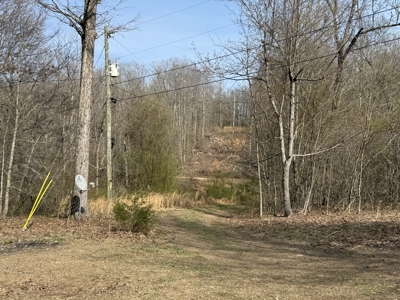 Acreage for Sale in Searcy County, Ar - image 13
