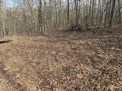 Acreage for Sale in Searcy County, Ar - image 19