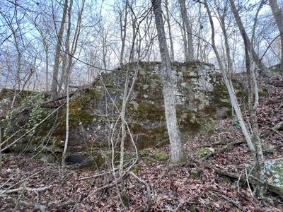 Acreage for Sale in Searcy County, Ar - image 25