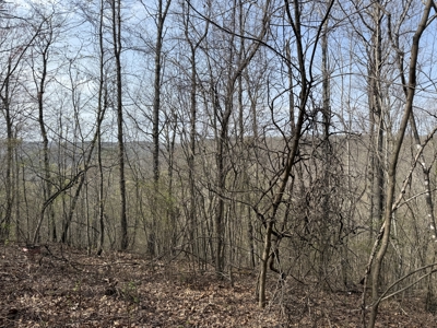 Acreage for Sale in Searcy County, Ar - image 11