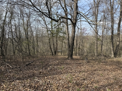 Acreage for Sale in Searcy County, Ar - image 20