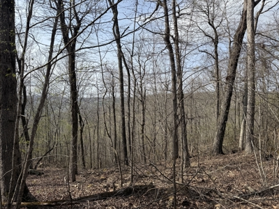 Acreage for Sale in Searcy County, Ar - image 22