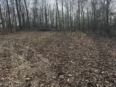 Acreage for Sale in Searcy County, Ar - image 18
