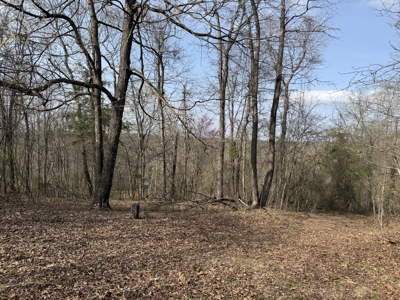 Acreage for Sale in Searcy County, Ar - image 17