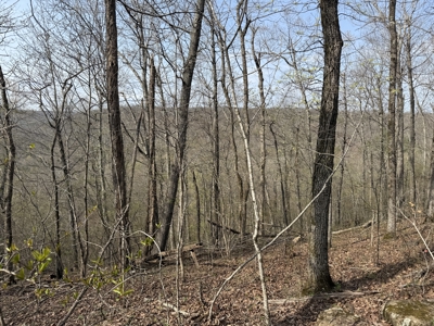Acreage for Sale in Searcy County, Ar - image 15