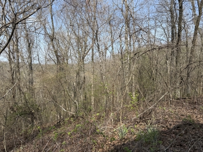 Acreage for Sale in Searcy County, Ar - image 12