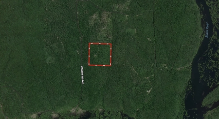 Wooded Acreage for sale in the Missouri Ozarks - image 2