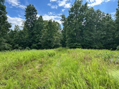 Wooded Acreage for sale in the Missouri Ozarks - image 7