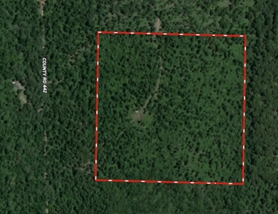 Wooded Acreage for sale in the Missouri Ozarks - image 1