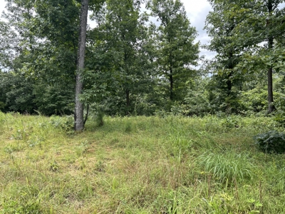 Wooded Acreage for sale in the Missouri Ozarks - image 4