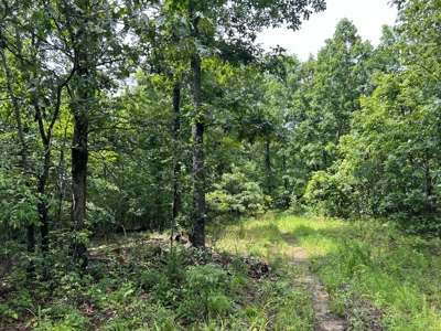 Wooded Acreage for sale in the Missouri Ozarks - image 9