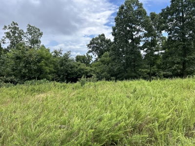 Wooded Acreage for sale in the Missouri Ozarks - image 6