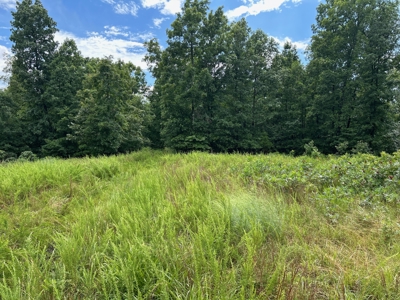 Wooded Acreage for sale in the Missouri Ozarks - image 5