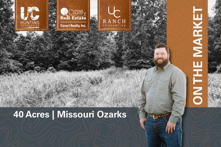 Wooded Acreage for sale in the Missouri Ozarks - image 3