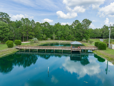 Beautiful Private Estate With Pond - image 7