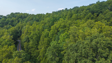Wooded Land for Sale in Moravian Falls NC - image 1