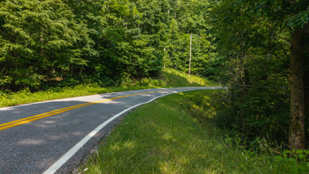 Wooded Land for Sale in Moravian Falls NC - image 26