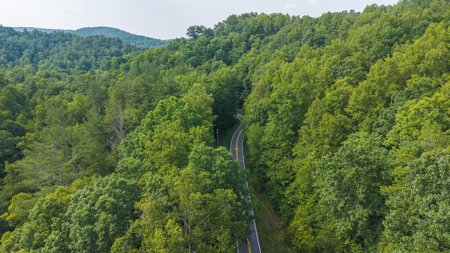 Wooded Land for Sale in Moravian Falls NC - image 13