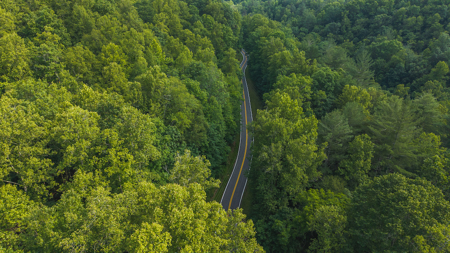 Wooded Land for Sale in Moravian Falls NC - image 11