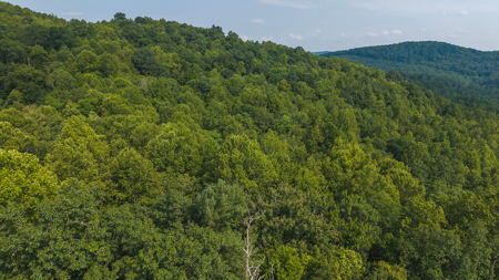 Wooded Land for Sale in Moravian Falls NC - image 17