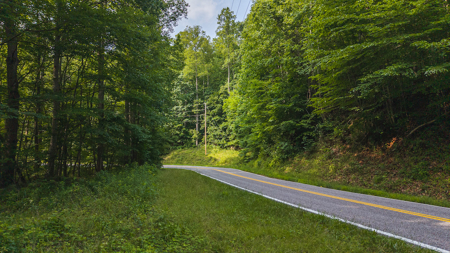 Wooded Land for Sale in Moravian Falls NC - image 23