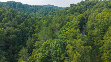 Wooded Land for Sale in Moravian Falls NC - image 14