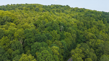 Wooded Land for Sale in Moravian Falls NC - image 10