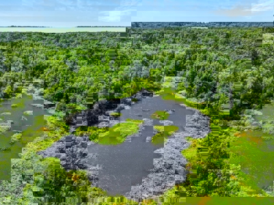 East Texas Wood County Quitman 50 Acres 2 Homes Abundant Wildlife - image 47