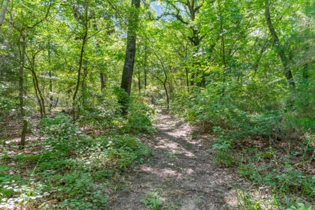 East Texas Wood County Quitman 50 Acres 2 Homes Abundant Wildlife - image 48