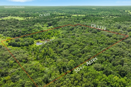 East Texas Wood County Quitman 50 Acres 2 Homes Abundant Wildlife - image 5