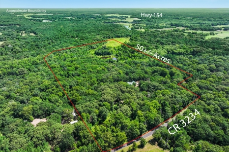 East Texas Wood County Quitman 50 Acres 2 Homes Abundant Wildlife - image 2