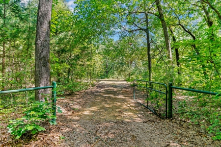 East Texas Wood County Quitman 50 Acres 2 Homes Abundant Wildlife - image 8