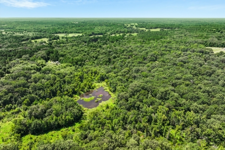 East Texas Wood County Quitman 50 Acres 2 Homes Abundant Wildlife - image 49