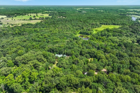 East Texas Wood County Quitman 50 Acres 2 Homes Abundant Wildlife - image 3