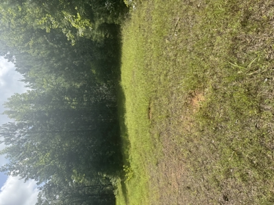 East Texas Hunting/Recreational Land For Sale - image 16