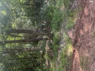 East Texas Hunting/Recreational Land For Sale - image 5