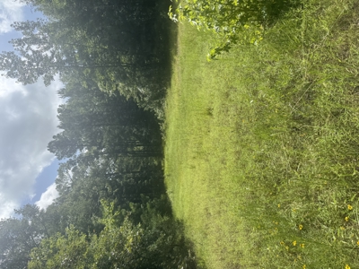 East Texas Hunting/Recreational Land For Sale - image 1