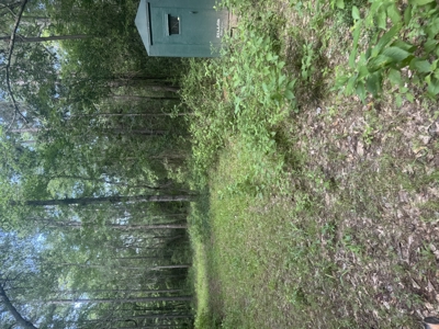 East Texas Hunting/Recreational Land For Sale - image 22