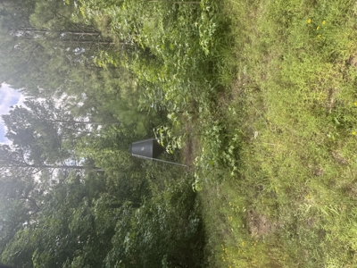 East Texas Hunting/Recreational Land For Sale - image 19